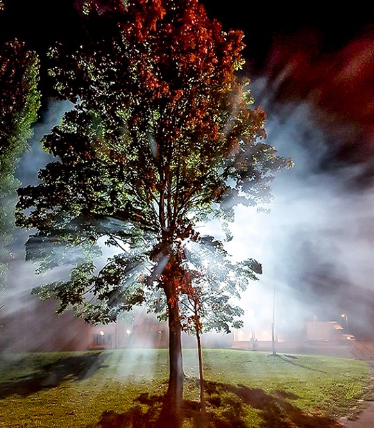 „Der leuchtende Baum“